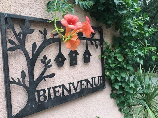 B&B Les Muscades Saint-Étienne-du-Grès Exterior foto